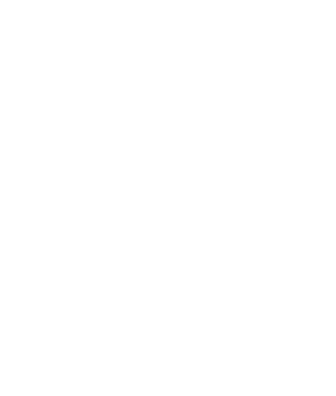 Supporto remoto teamviewer
